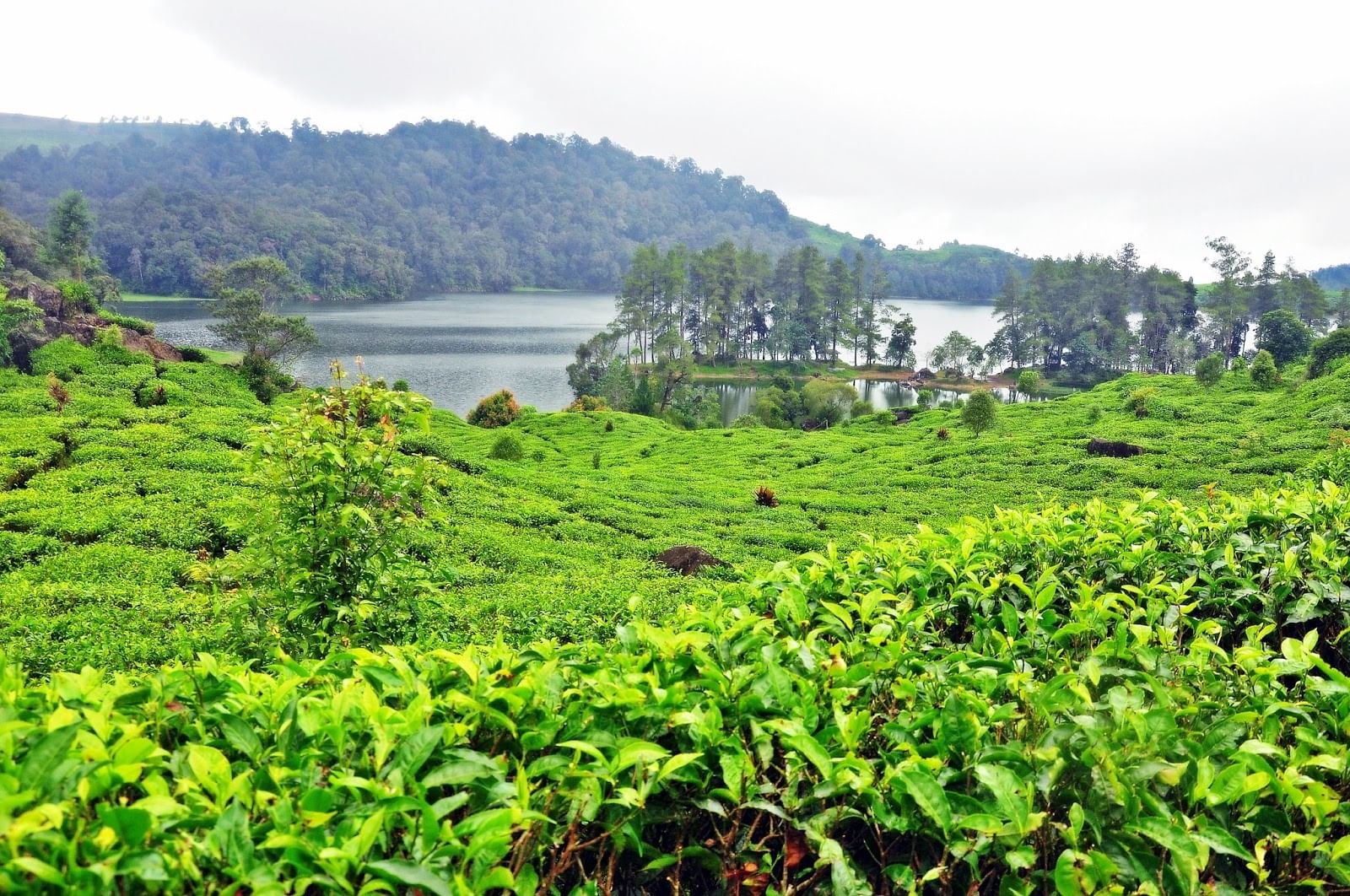 Situ Patenggang, Danau Indah di Kawasan Ciwidey