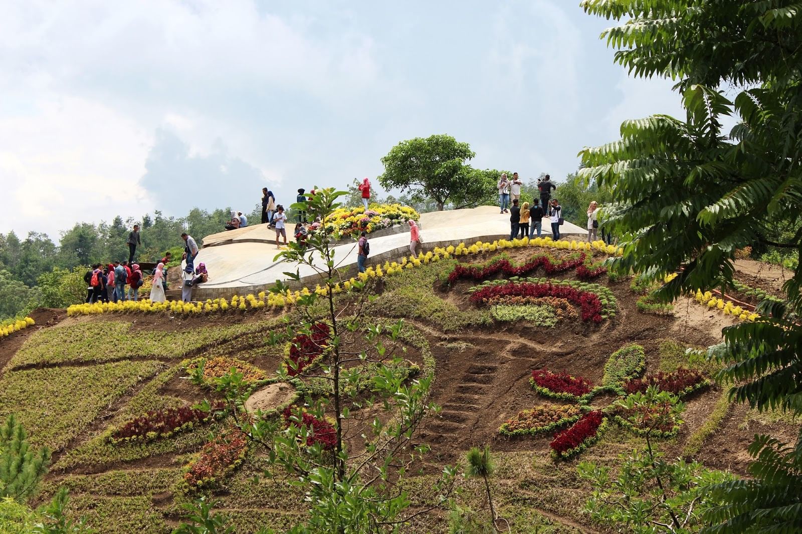 Info Lengkap Tentang Bukit Bulu Coban Rais Malang