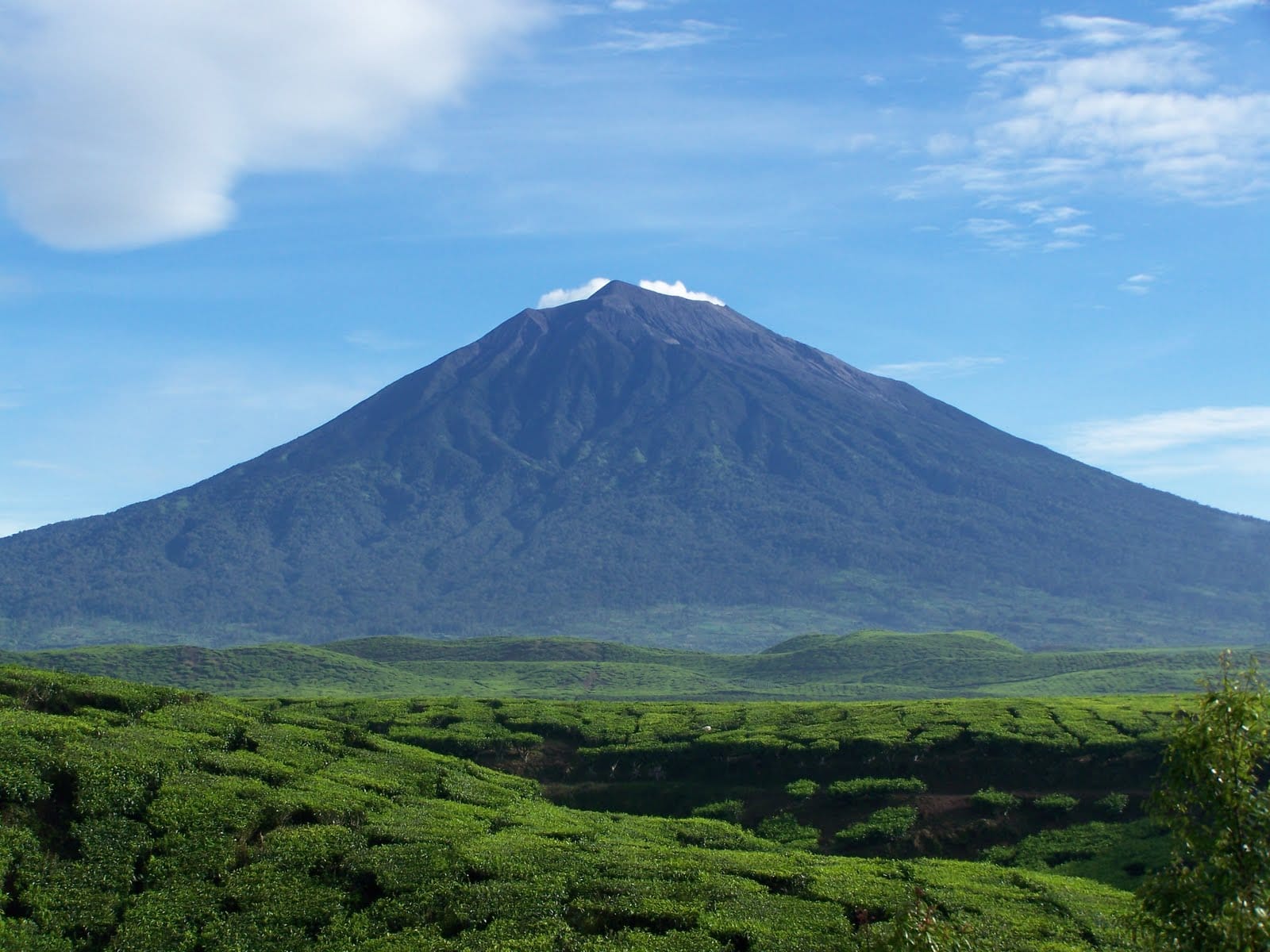 gunung terindah di Indonesia 9